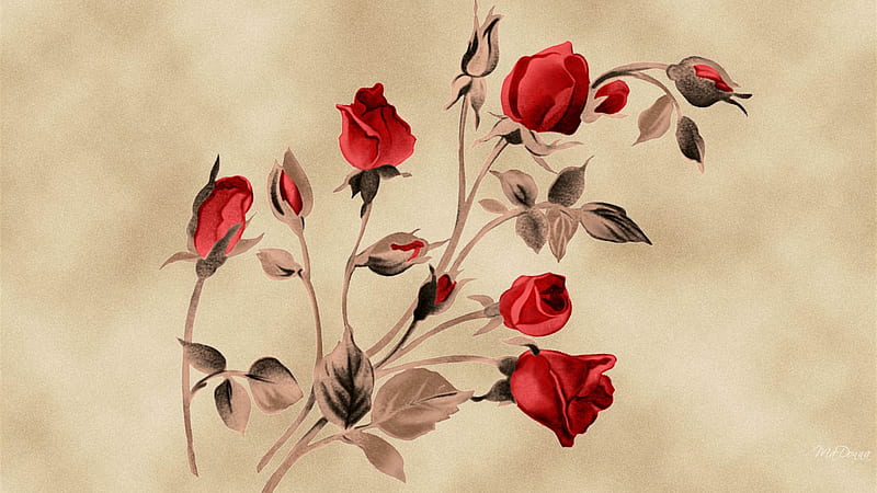 Paper Roses, red, flowers, firefox persona, roses, abstract, parchment paper, HD wallpaper