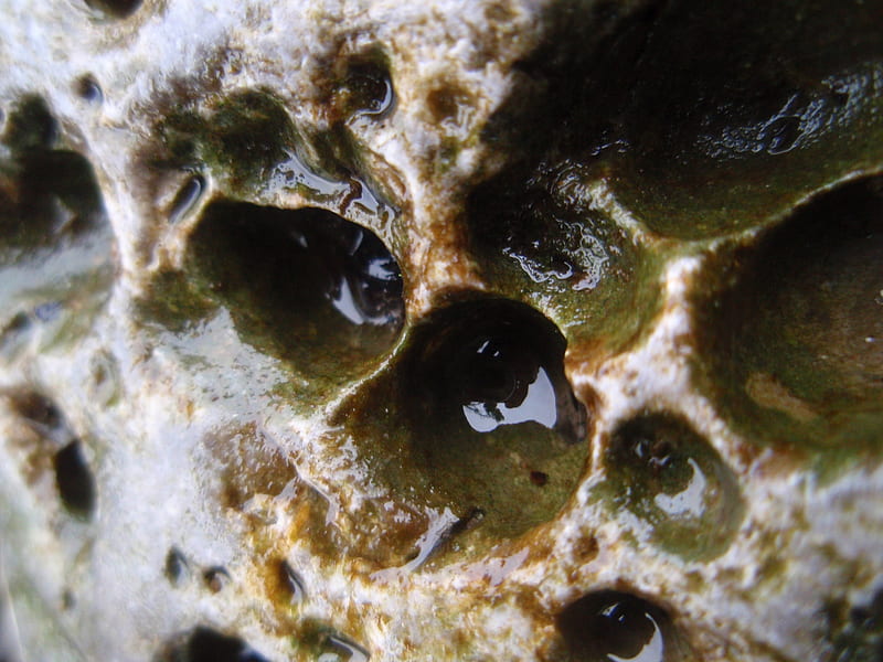 rock, sea rock, water, sea, HD wallpaper rock, sea rock, water, sea, HD wallpaper