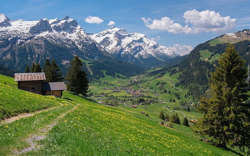 Alps, meadow, montains, path, cabin, clouds, HD wallpaper