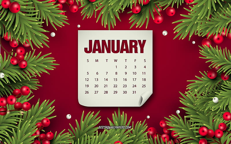 January 2020 calendar, red background with berries, Christmas tree, winter, January, 2020 calendars, HD wallpaper