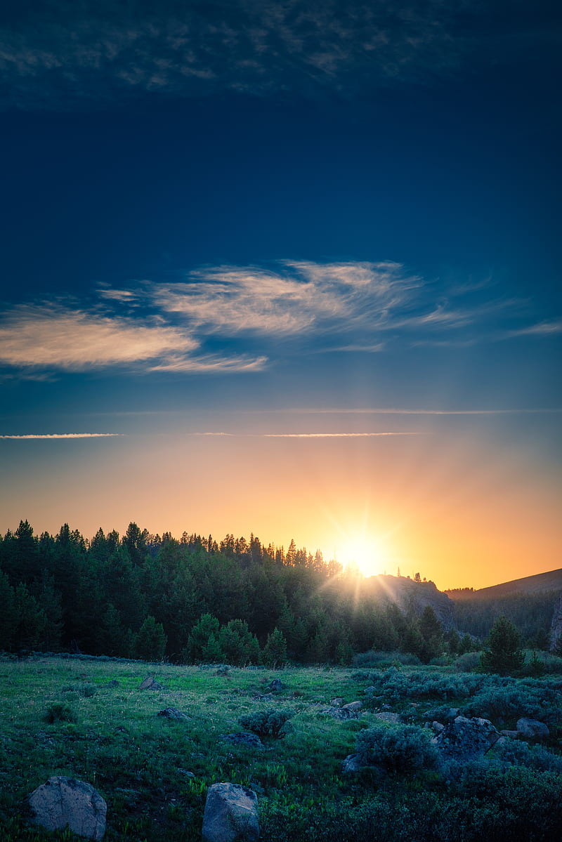 sunrise, forest, mountains, landscape, sunlight, HD phone wallpaper