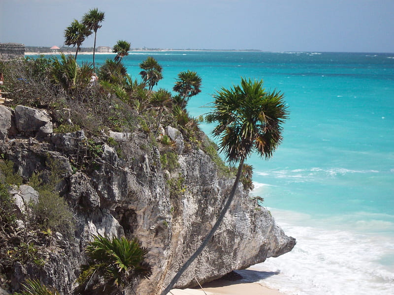 Tullum Coast, beach, mexico, tullum, ocean, coast, palm tree, HD ...