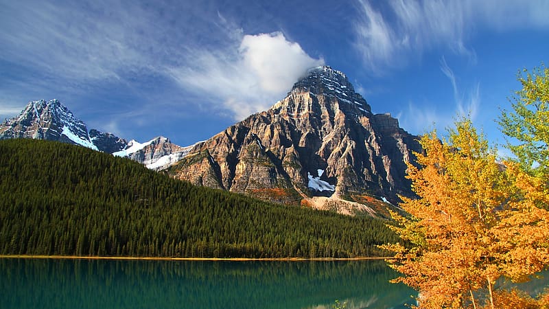 Lower Waterfowl Lake, Mount Chephren, Banff NP, Alberta, tree, mountain, landscape, autumn, canada, water, HD wallpaper