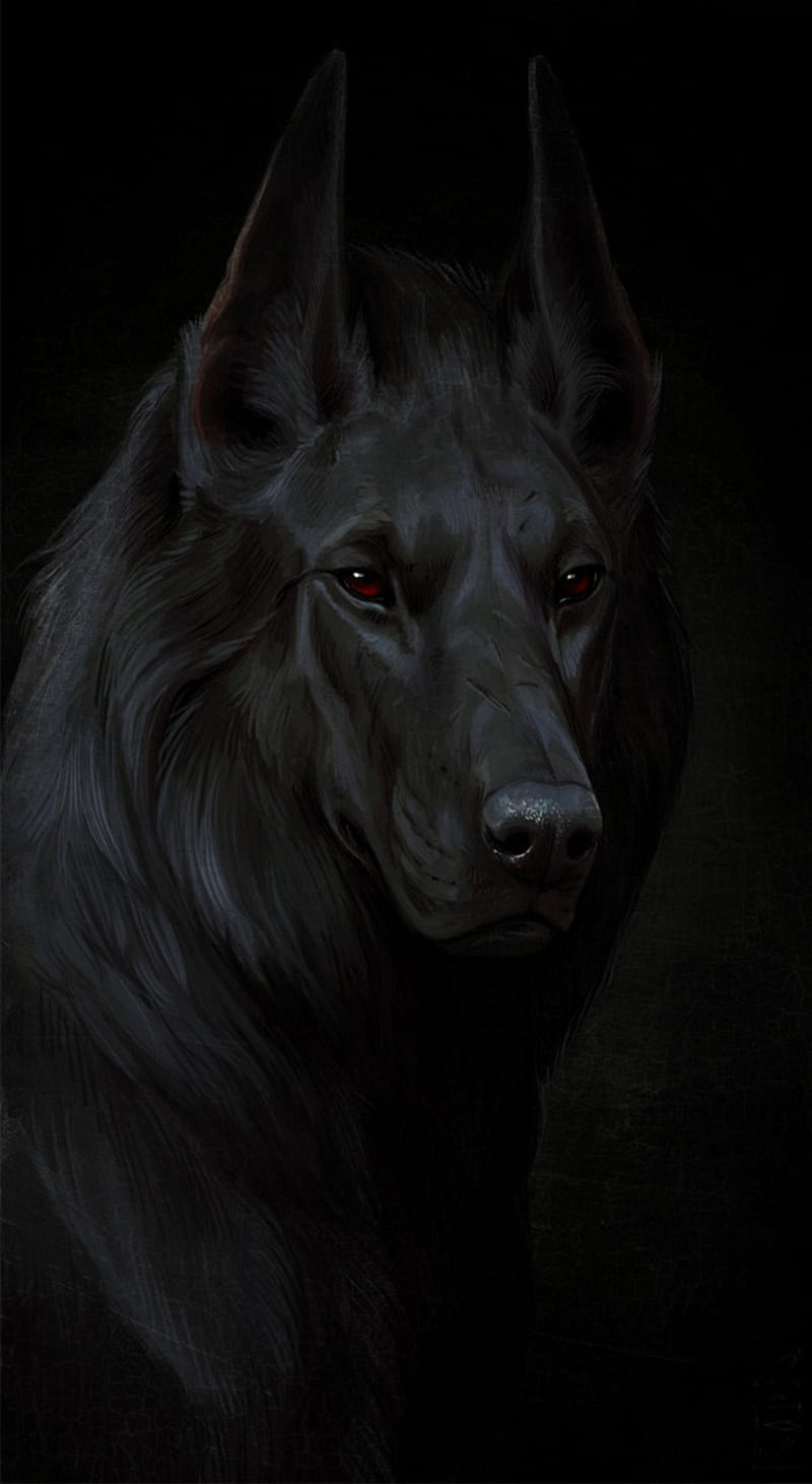 Dark DOG, art, black, dogs, wolf, HD phone wallpaper | Peakpx