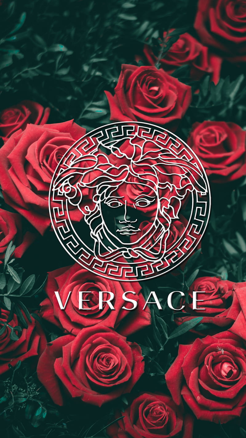Versace, brand, clothing, dark, designer, red, rose, roses, HD phone  wallpaper | Peakpx