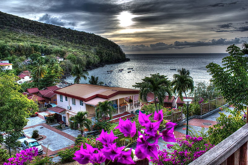 Les Anses d'Arlets, Martinique, sun, houses, sunset, clouds, stormy, caribbean, flowers, r, bougainvillea, bay, HD wallpaper