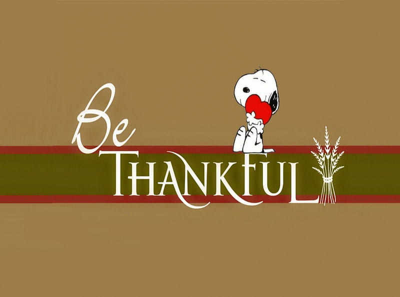 Happy Thanksgiving, snoopy, fall, peanuts, animals, dogs, charlie brown, thanksgiving, HD wallpaper