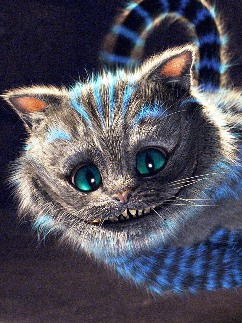 Smile Cat, alice wonder land, HD phone wallpaper