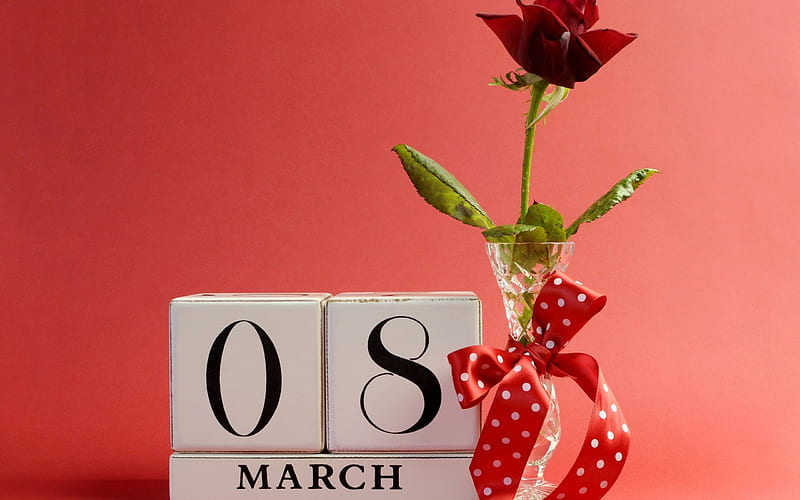 rose, vase, gift, 8 march, march 8, troyanda, podarunok, HD wallpaper