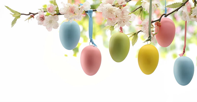 Blossoms & Easter Eggs, Easter, Easter eggs, eggs, flowers, blossoms, Spring, ribbons, branches, HD wallpaper