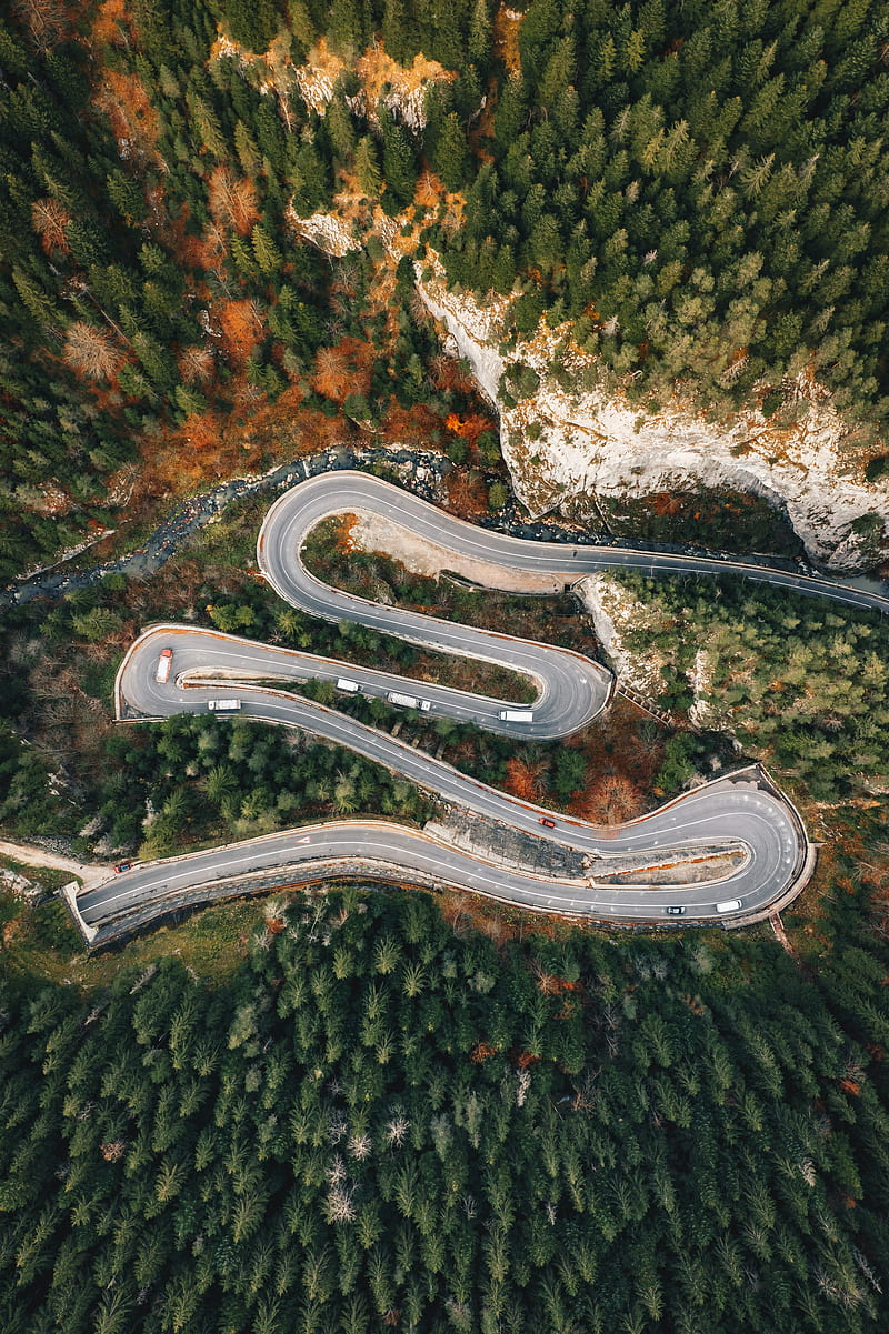 road, forest, winding, trees, romania, HD phone wallpaper