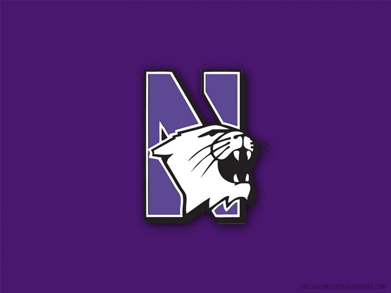 Northwestern Logo, wildcats, logo, teams, HD wallpaper