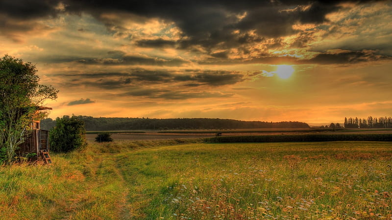beautiful sunset over rural hesse germany, hut, fields, sunset, trees, clouds, HD wallpaper