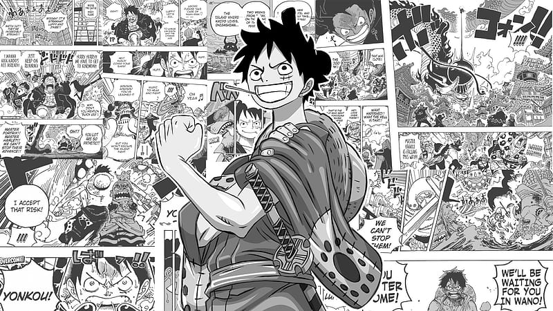 One Piece, Boy, Monkey D. Luffy, HD wallpaper | Peakpx