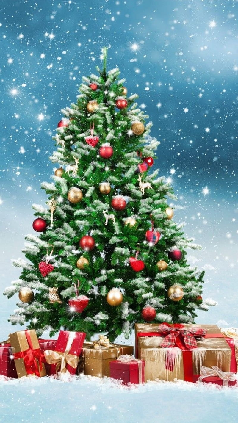 Winter Tree, holiday, presents, snow, christmas, christmas tree, christmas nignt, merry chrismas, season, HD phone wallpaper