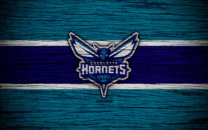 Charlotte Hornets, NBA, wooden texture, basketball, Eastern Conference, USA, emblem, basketball club, Charlotte Hornets logo, HD wallpaper