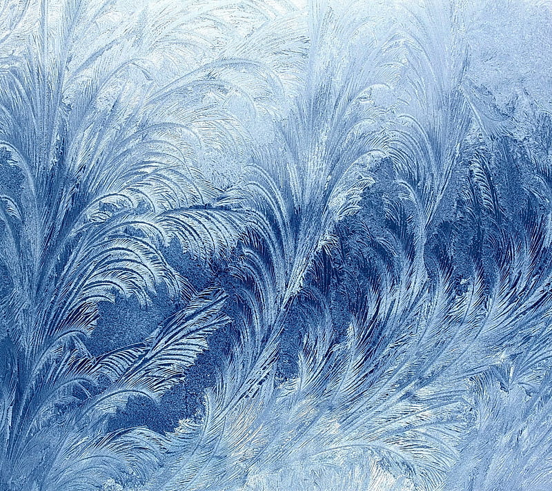 Frosty Pattern, frost, glass, ice, snow, winter, HD wallpaper