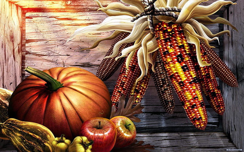 Thanksgiving Harvest, Apples, Thanksgiving, Pumpkins, Abstract, Indian Corn, Harvest, HD wallpaper