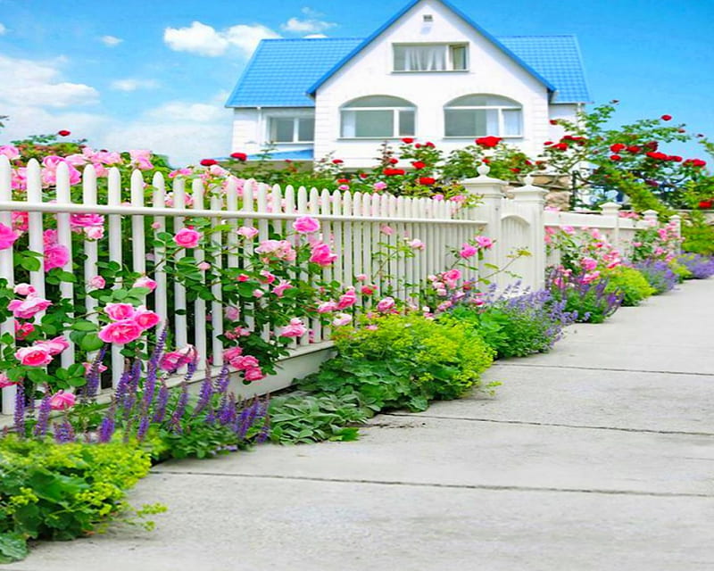 Rose Garden, fence, garden, house, roses, HD wallpaper