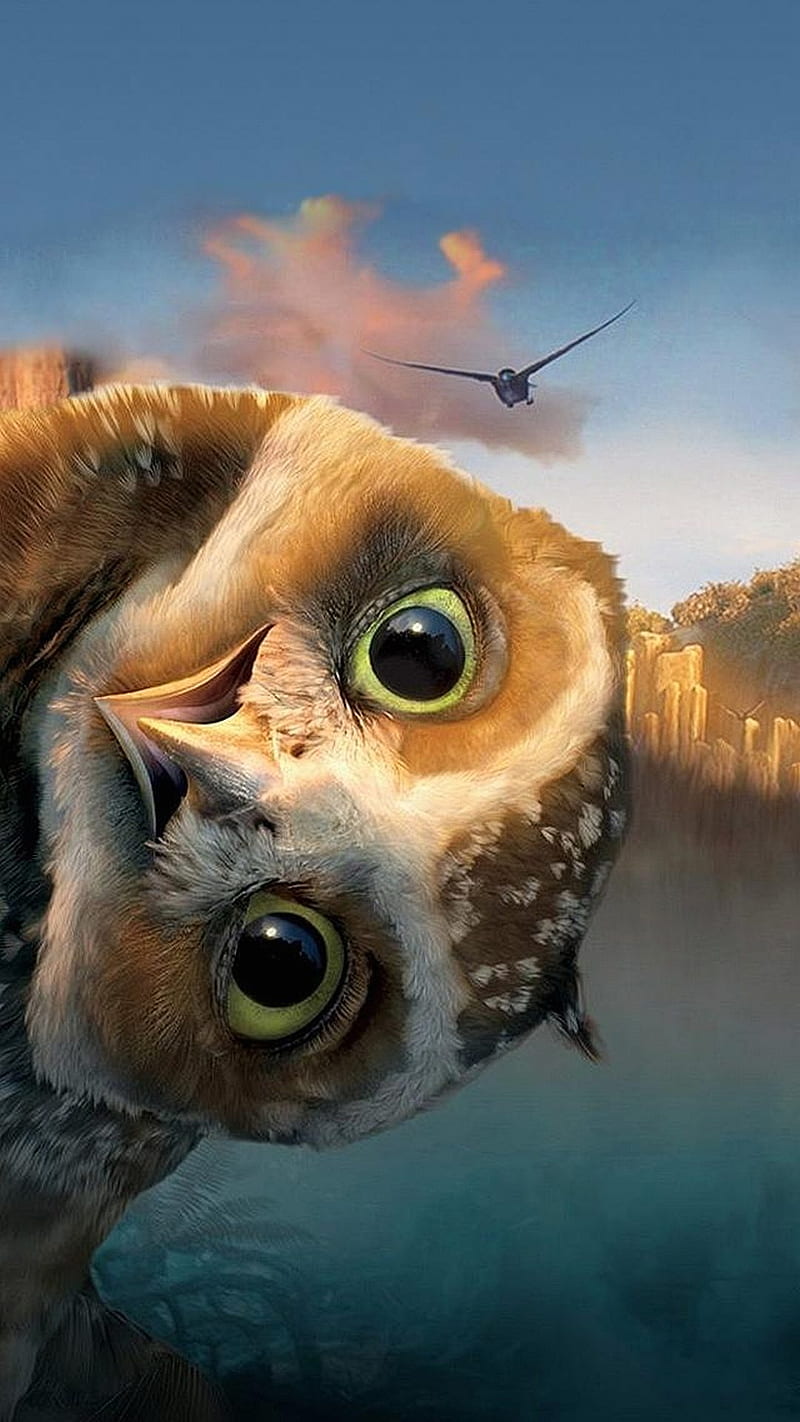 funny owl, HD phone wallpaper