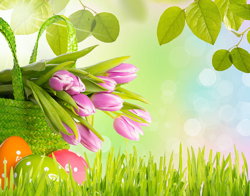 Happy Easter, pretty, grass, sunny, easter, bonito, leaves, bokeh, green, flowers, beauty, tulips, pink, spring time, easter eggs, spring, pink tulips, basket, sunshine, nature, HD wallpaper