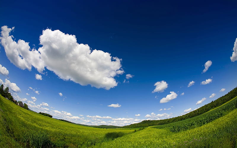 Fisheyed Grassland Grassland under blue sky, HD wallpaper