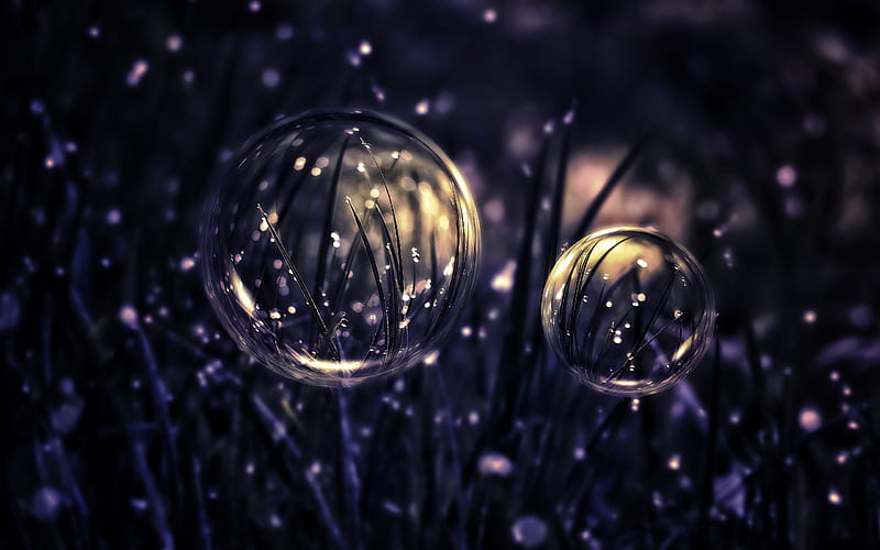 drops bubbles grass-High Quality, HD wallpaper