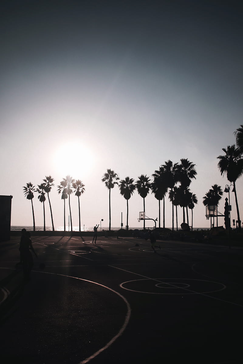 basketball, playground, dark, silhouettes, palm trees, sun, HD phone wallpaper