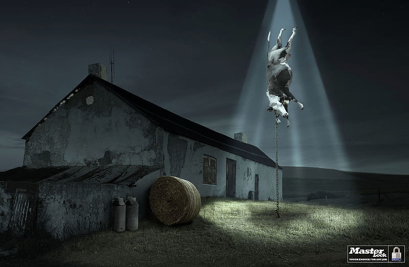 near abduction, cow, lock, abduction, ufo, beam, HD wallpaper