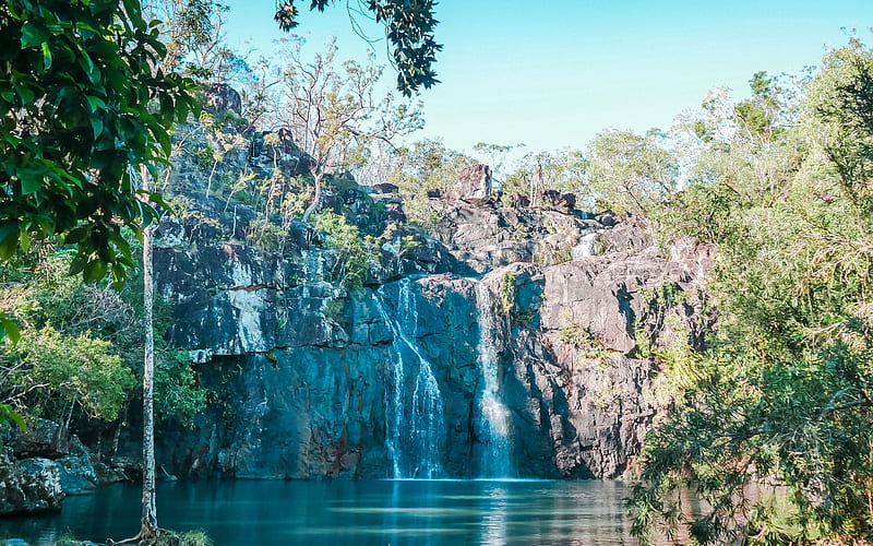 Cedar Creek Falls jungle, waterfalls, Tamborine National Park, Australia, HD wallpaper
