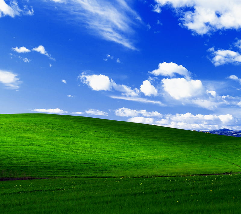 Landscape, field, nature, sky, HD wallpaper