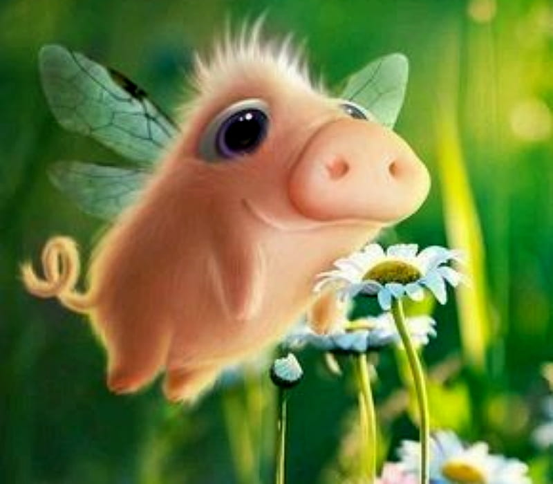 When Pigs Fly, Daisy, Pink, Pigs, Fly, Wing, Eyes, HD wallpaper