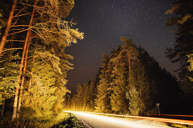 road, trees, forest, stars, night, HD wallpaper