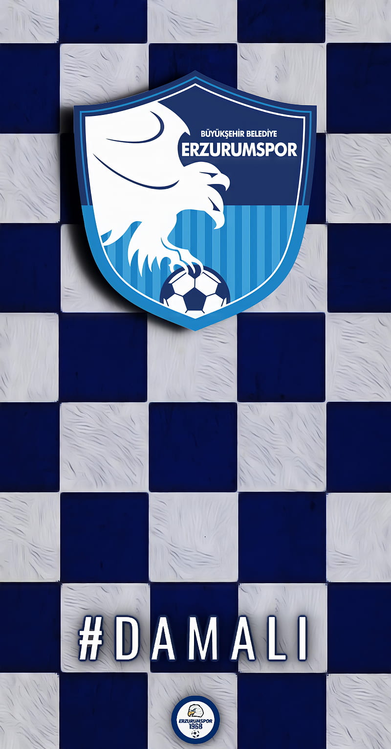 Erzurumspor, erzurum, football, team, HD phone wallpaper