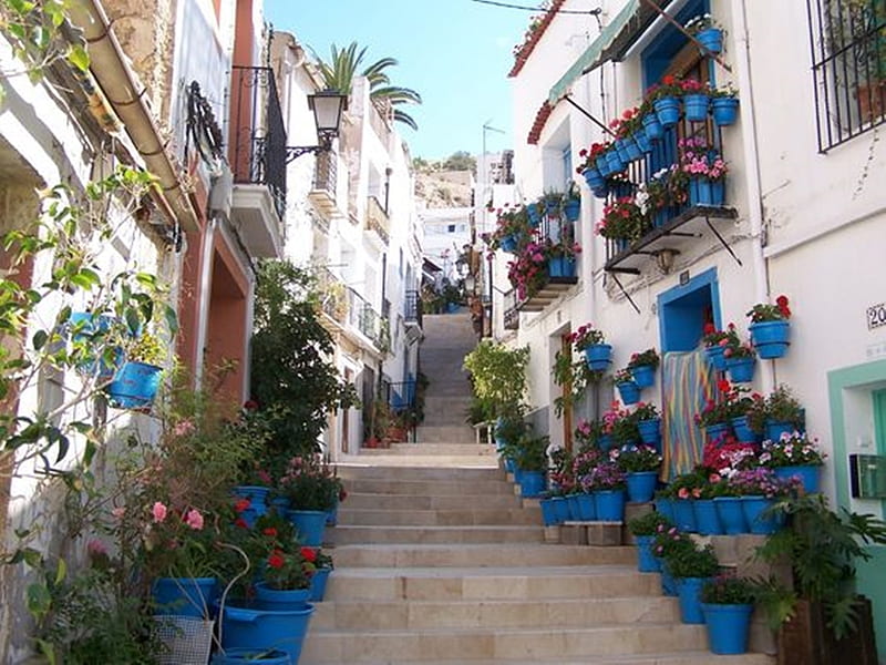 Alicante - Spain, architecture, graphy, cool, travel, flowers, streets, HD wallpaper