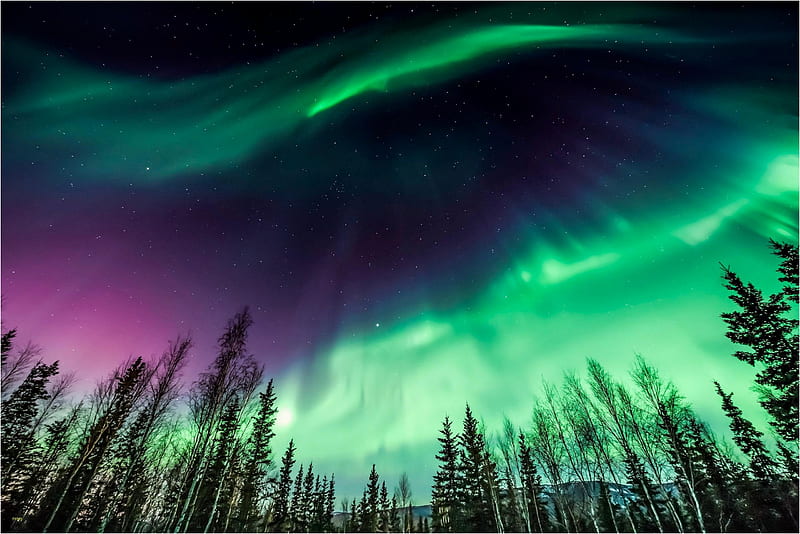 Alaska Northern Lights, Green Northern Lights, HD wallpaper
