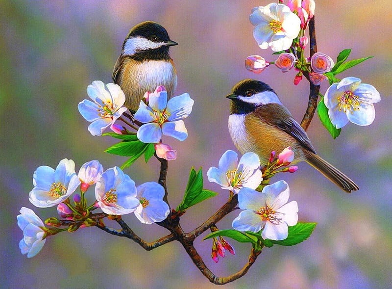 Cherry Blossom Chickadees, love four seasons, birds, spring, cherry blossoms, chickadees, paintings, flowers, garden, nature, animals, HD wallpaper