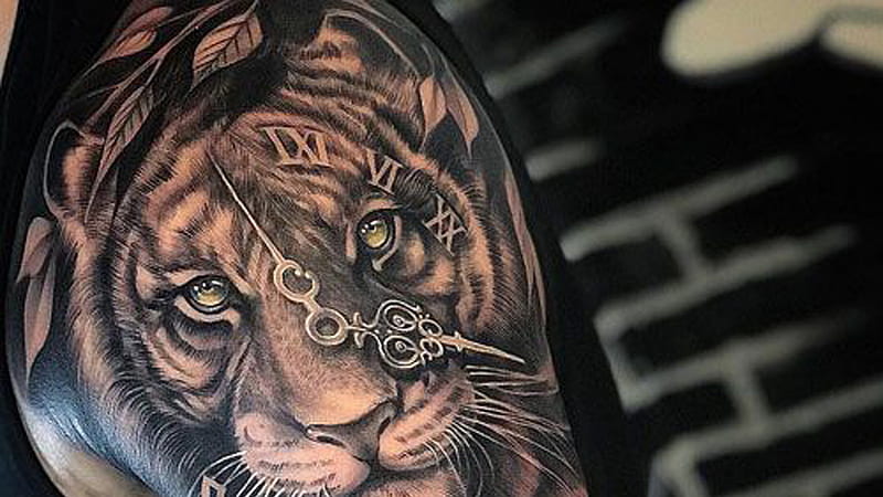 Shoulder Lion Tiger Tattoo For Men Tiger Tattoo, HD wallpaper | Peakpx