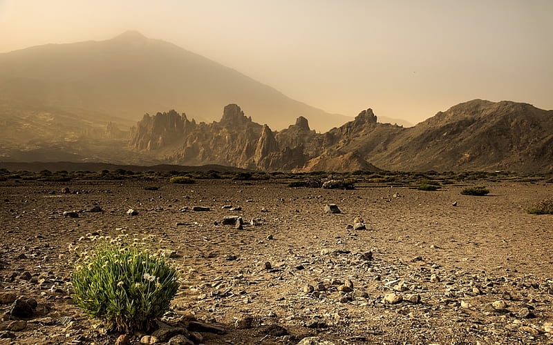 desert, sand, mountains, sunset, HD wallpaper