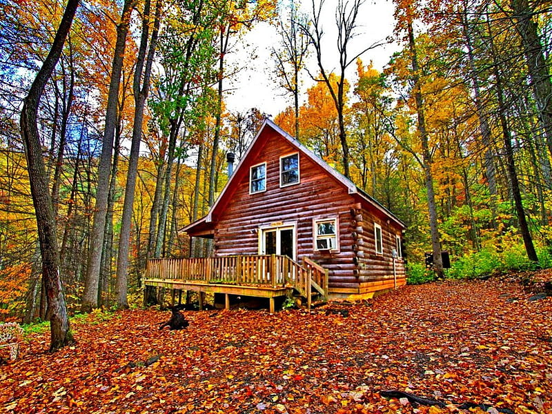 Wooden cottage in autumn forest, fall, colorful, autumn, house, cottage ...