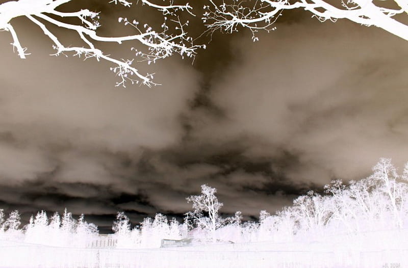 Overcast Invert, Sky, Clouds, White, Nature, Winter, HD wallpaper