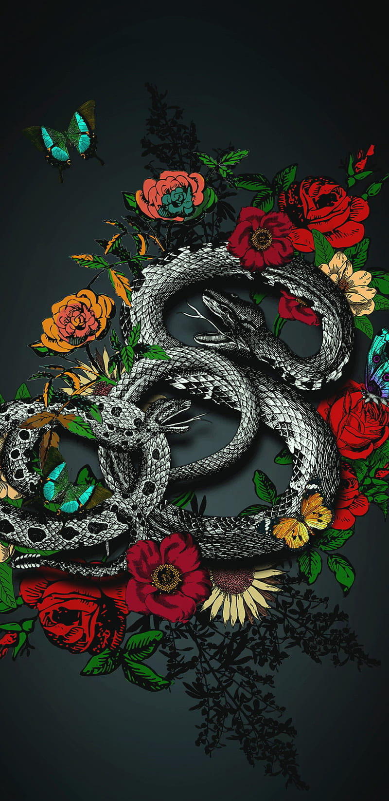 Rosas, dragon, theme, HD phone wallpaper