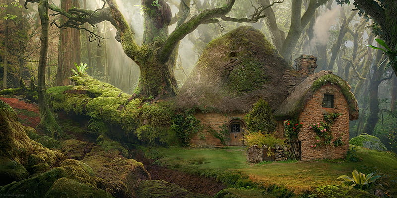 forest cottage, forest, house, trees, light, plants, HD wallpaper