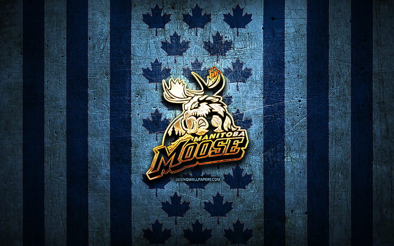 Manitoba Moose flag, AHL, blue metal background, canadian hockey team, Manitoba Moose logo, Canada, hockey, golden logo, Manitoba Moose, HD wallpaper