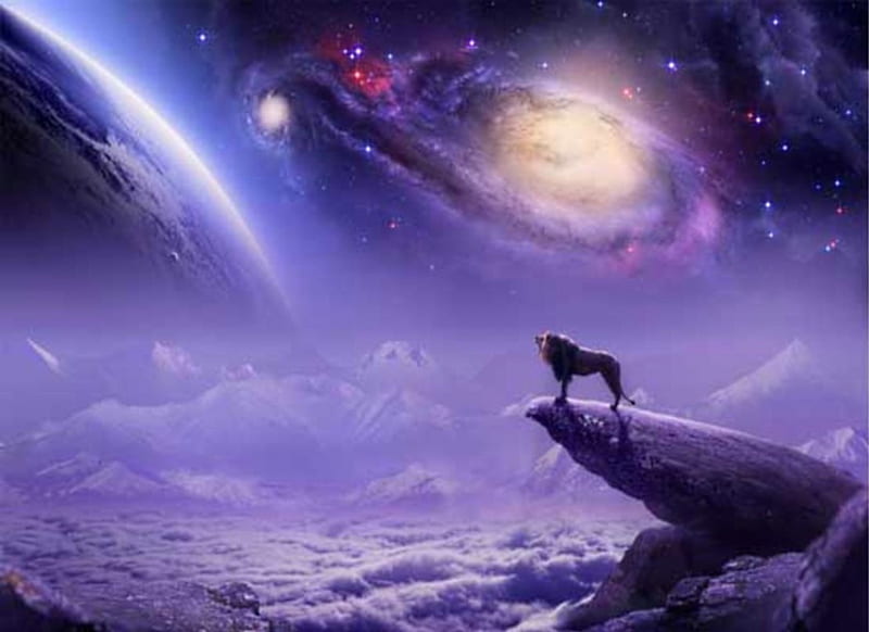 World of dreams, up, in, back, front, galaxy, animal, HD wallpaper | Peakpx