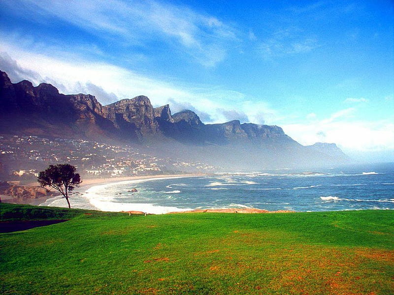 Camps Bay grass, clouds, sea, africa beach mountians, pic, waves, sky, wall, south africa, tree, water, nature, bay, HD wallpaper