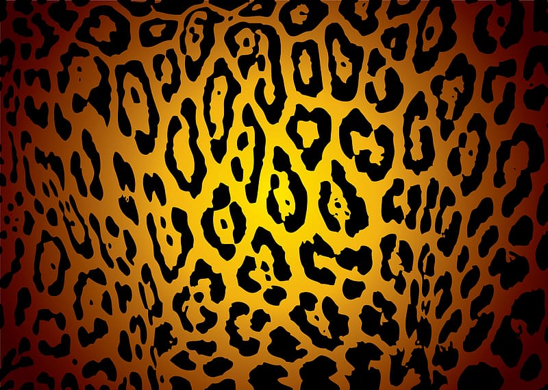 Leopard Print Background [] for your , Mobile & Tablet. Explore Leopard . Black Leopard , Leopard , Leopard, Leopard Skin, HD wallpaper