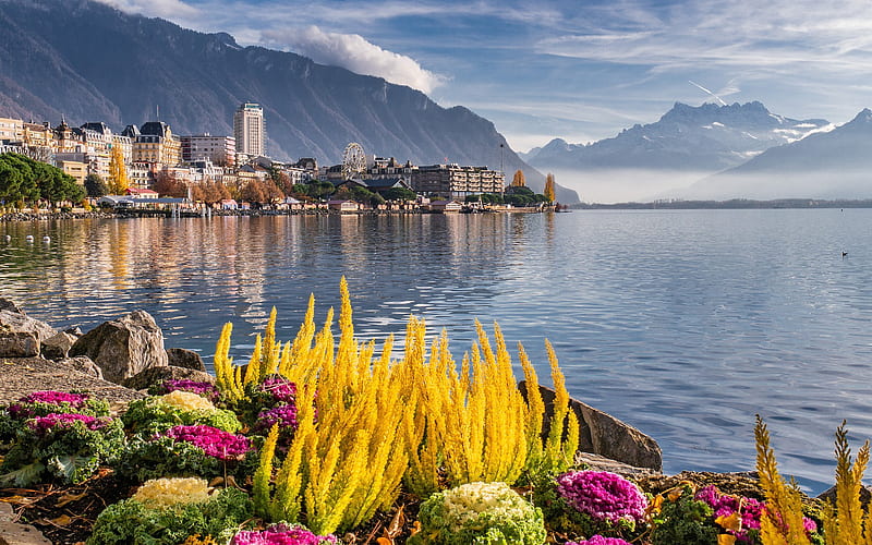 Montreux, Lake Geneva, riviera, morning, fog, mountain landscape, Switzerland, HD wallpaper