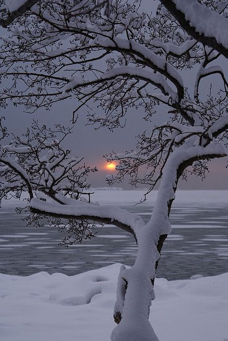 winter sunset, snowy, HD phone wallpaper