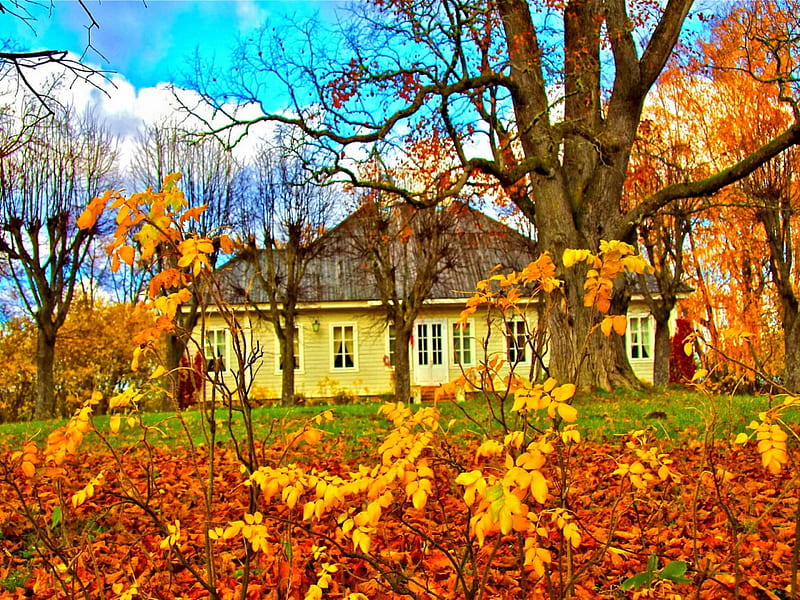 Autumn in countryside, colorful, fall, autumn, house, cottage, falling ...